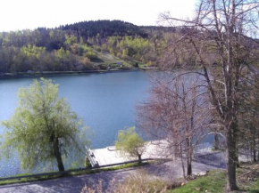 Apartment Kovacevic, Fužine